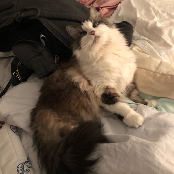 Meet your Posher, Kelly - Picture 2 of 2